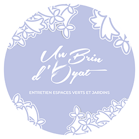 Un Brin d'Oyat